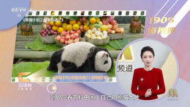 美女国产精品
